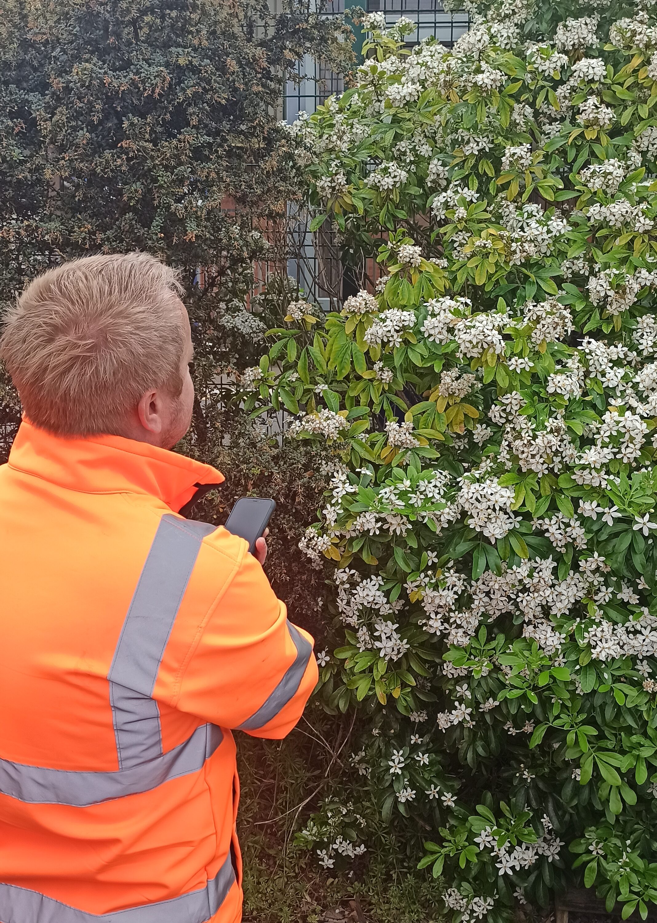 Ciaran McLarnon (QUB MSc placement student, Ecological Management and Conservation Biology) at Lurgan Train Station.